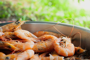 Fresh Sea Food Shrimps and Prawns