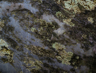 Texture of wet stone covered with moss. Background image of macro photography texture stone