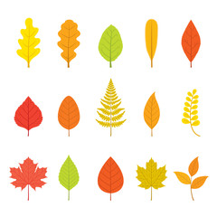 Set Of Colorful Leaves With Different Shapes