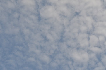 Clear blue sky from my garden