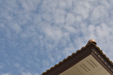 Clear blue sky from my garden