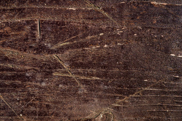 Texture of old wood. Background image. Macro photo