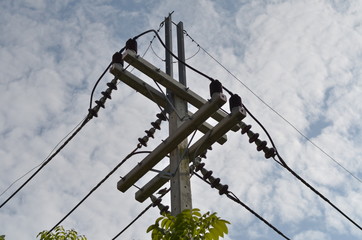 Electricity Post in my Garden 