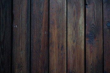 Wood texture. Macro background image of a wet dark wood