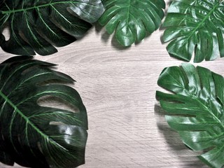 The natural background image has beautiful beech wood and green leaves.