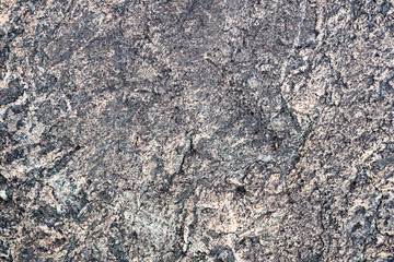 The texture of the stone overgrown with moss. Background image of a boulder