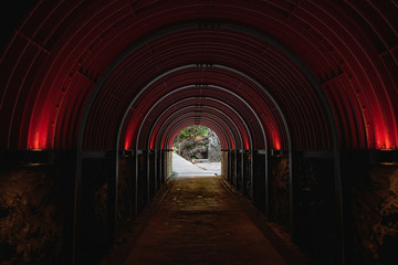 幻想的なトンネル