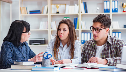 Young student and teacher during tutoring lesson