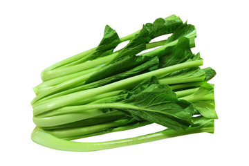 choy vegetable food
