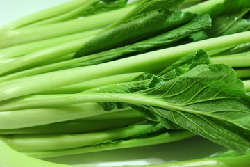 choy vegetable food