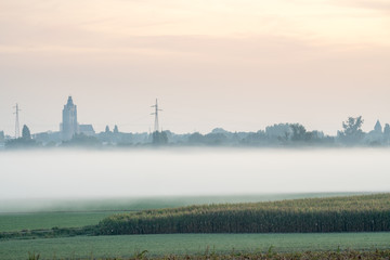 Fototapeta premium on an early beautiful morning