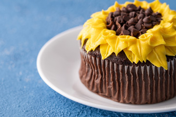 Beautiful sunflower decorated chocolate cupcake on blue background