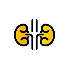 kidneys filled line vector icon