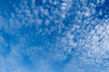 Fototapeta na wymiar Basic cloud and sky background