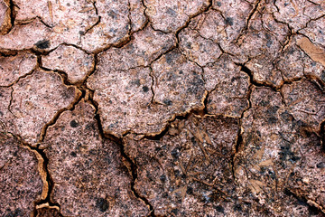 stone and marble / surface texture background