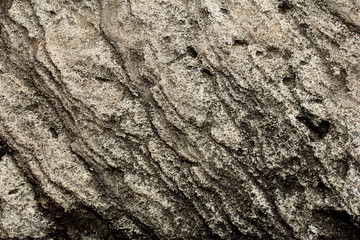 stone and marble / surface texture background