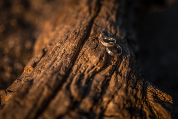  Wedding rings for her and him on the tree