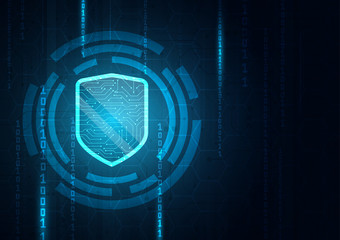 Online data protection shield