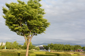 公園