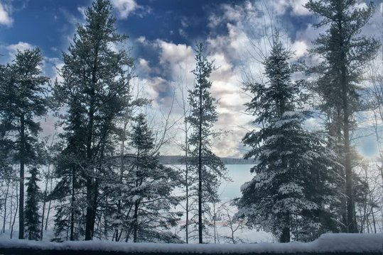 Paysage d'hiver