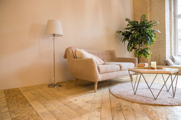 Room in a loft style. Room interior with sofa,small table and little tree. There is a sofa with small table with a books and candles on it,home plants . On the floor there is a parquet and carpet.