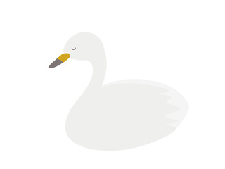 シンプルな白鳥おすまし顔