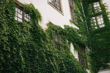 First stop on a roadtrip to Croatia, Mikulov, southern mood of the city in hot weather