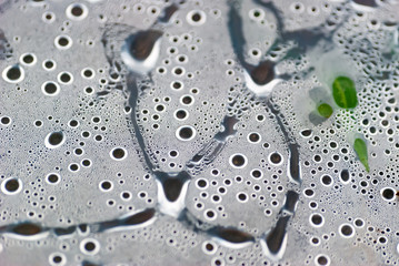 Humidity macro from under the plastic material.