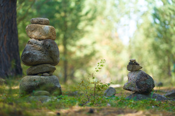 stone towers in the forest