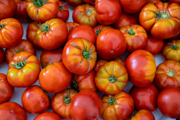 Organic tomatoes for sale in the market
