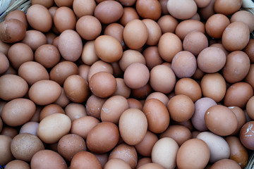 Organic eggs for sale in the market