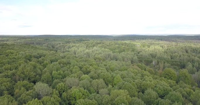 aerial drone footage of a beautiful forest in the midwest