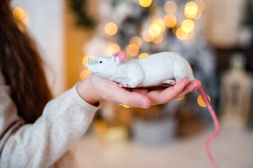 White rat, a symbol of the new year, on a female hand.