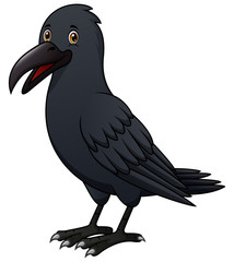 Cartoon crow isolated on white background