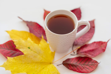 cosy autumn - cup of tea and autumn leaves