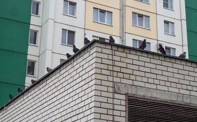 modern building