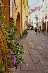 Fototapeta na wymiar Blooming flowers and summer street of old Vilnius on the background in blur. Daylight. Lithuania.