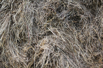 Dry hay bale texture background