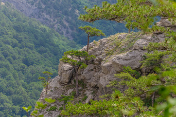 Mountain peak in summer against blue sky.