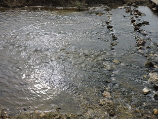 water in the river