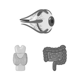 Isolated object of internal and medical icon. Set of internal and health stock symbol for web.