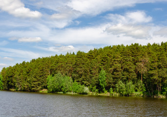 Lake surrounded by forest.