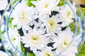 Top view and selective focus of beautiful white flowers in clear glass bowl .