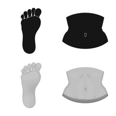 Isolated object of body and part sign. Set of body and anatomy vector icon for stock.