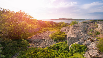 Rocky seashore. Summer landscape of a rocky island in the Baltic Sea, Finland.