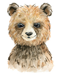 Watercolor cute bear.