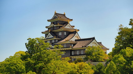 Naklejka premium 岡山城２