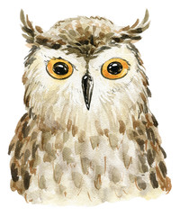 Watercolor cute owl.