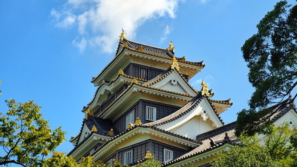 Fototapeta premium 岡山城６