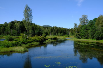 Fototapeta na wymiar Norwegian lake and forest in Summer